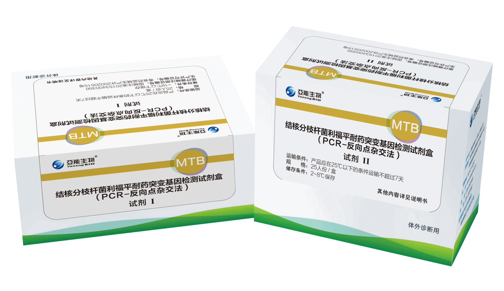 结核分枝杆菌耐药突变基因检测试剂盒